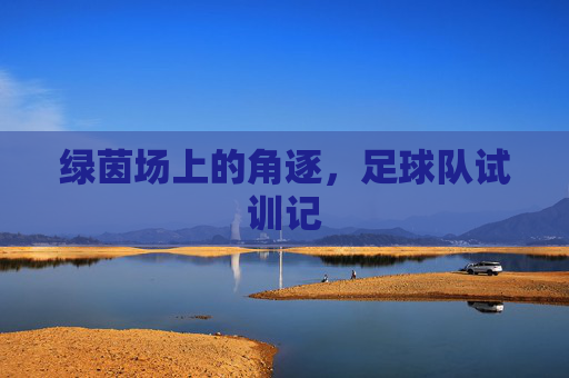 绿茵场上的角逐,足球队试训记