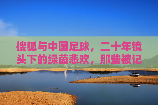 搜狐与中国足球,二十年镜头下的绿茵悲欢,那些被记忆镌刻的瞬间