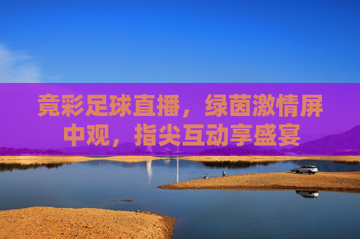 竟彩足球直播,绿茵激情屏中观,指尖互动享盛宴