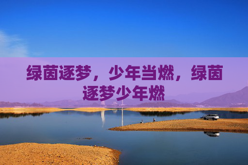 绿茵逐梦,少年当燃,绿茵逐梦少年燃