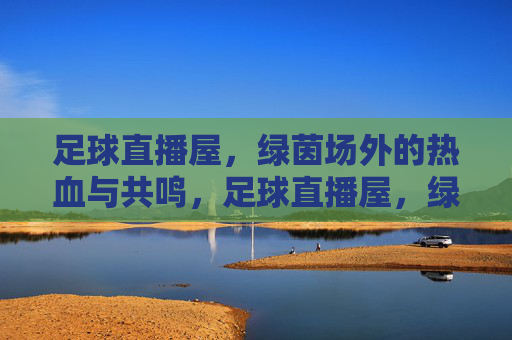 足球直播屋，绿茵场外的热血与共鸣，足球直播屋，绿茵场外的热血共鸣