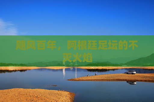 飓风百年,阿根廷足坛的不灭火焰