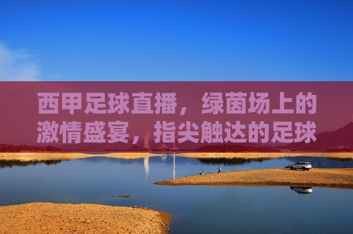 西甲足球直播,绿茵场上的激情盛宴,指尖触达的足球狂欢