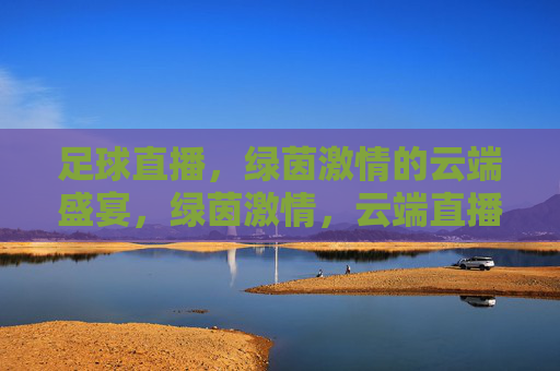 足球直播,绿茵激情的云端盛宴,绿茵激情,云端直播盛宴