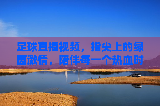 足球直播视频，指尖上的绿茵激情，陪伴每一个热血时刻，指尖绿茵，直播热血陪伴