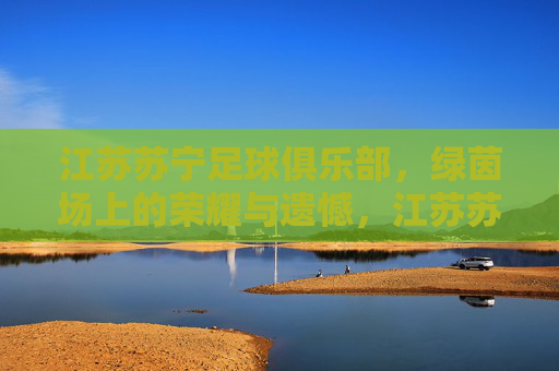 江苏苏宁足球俱乐部，绿茵场上的荣耀与遗憾，江苏苏宁足球，绿茵场的荣耀与遗憾