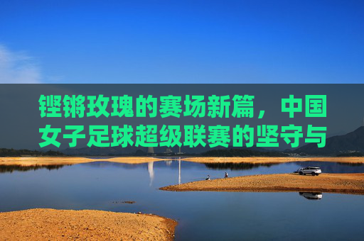 铿锵玫瑰的赛场新篇，中国女子足球超级联赛的坚守与突围，铿锵玫瑰女超新篇，坚守与突围