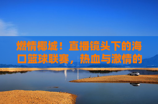 燃情椰城!直播镜头下的海口篮球联赛,热血与激情的云端对决,燃情椰城,直播见证海口篮球联赛热血对决
