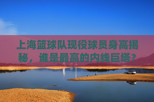 上海篮球队现役球员身高揭秘,谁是最高的内线巨塔?上海篮球队现役球员身高揭秘,谁是最高的内线巨塔?