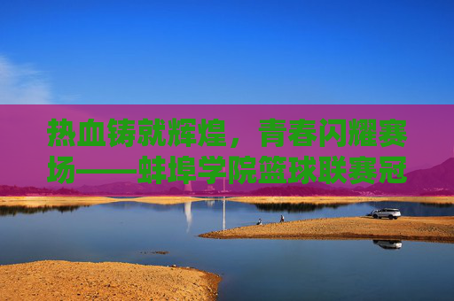 热血铸就辉煌，青春闪耀赛场——蚌埠学院篮球联赛冠军诞生记，热血青春耀赛场，蚌埠学院篮球联赛夺冠