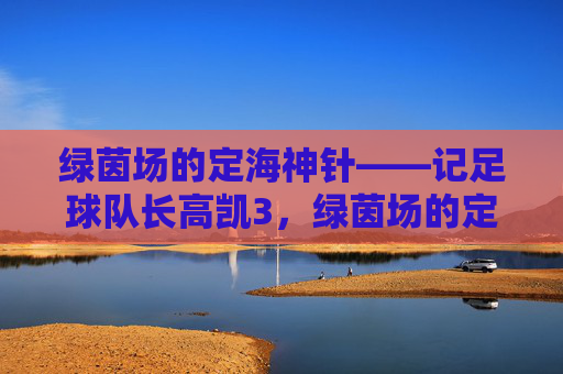 绿茵场的定海神针——记足球队长高凯3,绿茵场的定海神针——足球队长高凯
