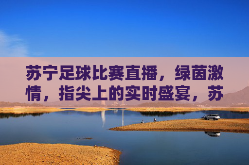 苏宁足球比赛直播，绿茵激情，指尖上的实时盛宴，苏宁足球直播，指尖上的绿茵激情盛宴