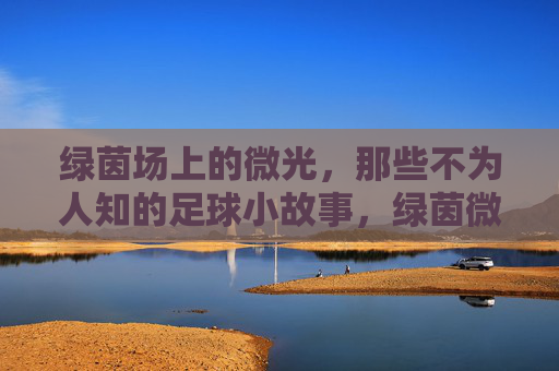 绿茵场上的微光,那些不为人知的足球小故事,绿茵微光,不为人知的足球小故事
