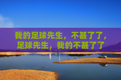 我的足球先生，不甚了了，足球先生，我的不甚了了