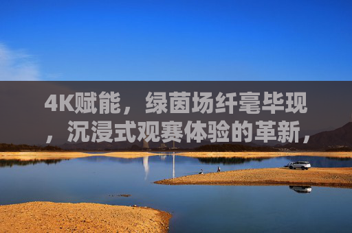 4K赋能,绿茵场纤毫毕现,沉浸式观赛体验的革新,4K赋能绿茵场纤毫毕现,沉浸式观赛体验革新