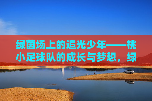 绿茵场上的追光少年——桃小足球队的成长与梦想,绿茵场上的追光少年,桃小足球队的成长与梦想