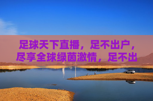 足球天下直播,足不出户,尽享全球绿茵激情,足不出户尽享全球足球直播激情