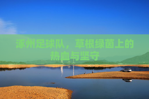 涿州足球队,草根绿茵上的热血与坚守