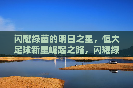 闪耀绿茵的明日之星,恒大足球新星崛起之路,闪耀绿茵,恒大足球新星崛起之路
