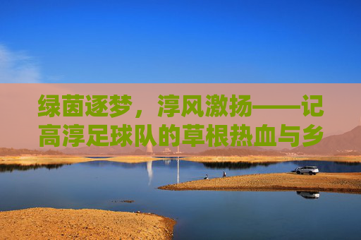 绿茵逐梦，淳风激扬——记高淳足球队的草根热血与乡土情怀，绿茵逐梦，淳风激扬——高淳草根足球队的乡土情怀