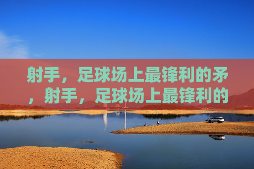 射手,足球场上最锋利的矛,射手,足球场上最锋利的矛