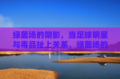 绿茵场的阴影，当足球明星与毒品扯上关系，绿茵场的污点，足球明星与毒品之殇