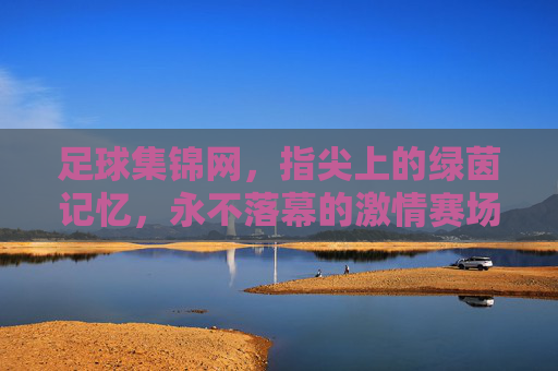 足球集锦网,指尖上的绿茵记忆,永不落幕的激情赛场