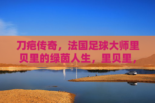 刀疤传奇,法国足球大师里贝里的绿茵人生,里贝里,刀疤铸就的绿茵传奇