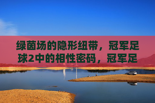 绿茵场的隐形纽带,冠军足球2中的相性密码,冠军足球2,绿茵场的相性密码
