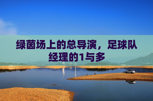 绿茵场上的总导演,足球队经理的1与多