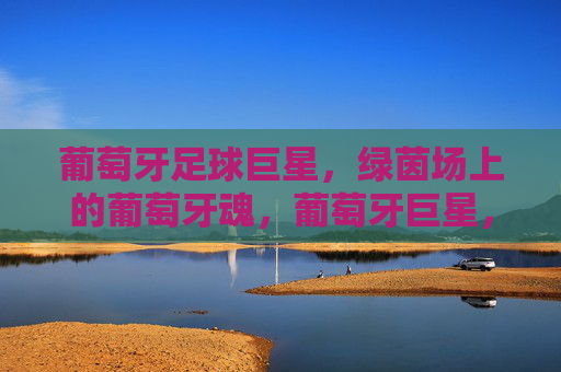 葡萄牙足球巨星，绿茵场上的葡萄牙魂，葡萄牙巨星，绿茵场上的葡萄牙魂
