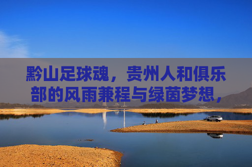 黔山足球魂,贵州人和俱乐部的风雨兼程与绿茵梦想,黔山足球魂,贵州人和风雨兼程逐绿茵梦