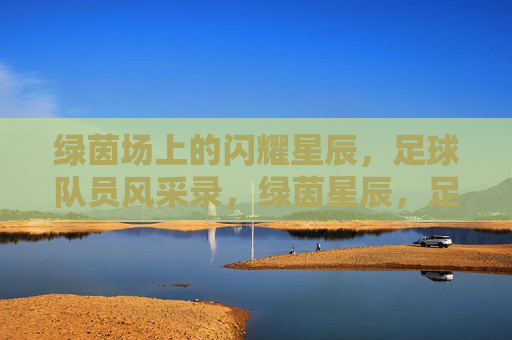 绿茵场上的闪耀星辰,足球队员风采录,绿茵星辰,足球队员风采录