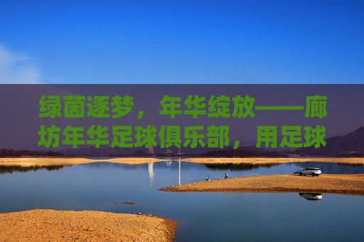 绿茵逐梦,年华绽放——廊坊年华足球俱乐部,用足球点亮青春,绿茵逐梦,年华绽放青春