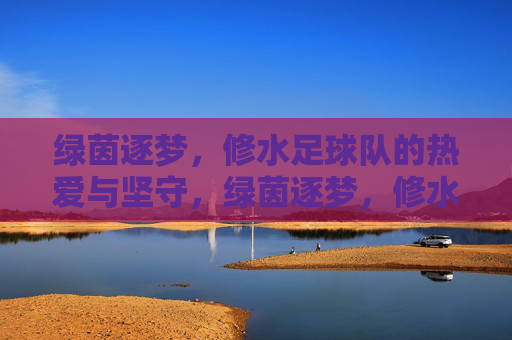 绿茵逐梦，修水足球队的热爱与坚守，绿茵逐梦，修水足球队的热爱与坚守