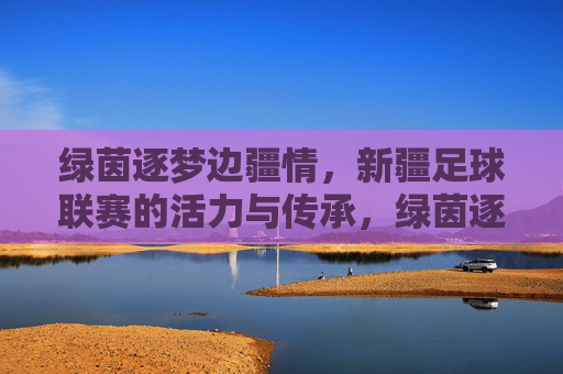 绿茵逐梦边疆情,新疆足球联赛的活力与传承,绿茵逐梦边疆情,新疆联赛活力传