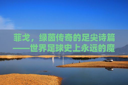 菲戈,绿茵传奇的足尖诗篇——世界足球史上永远的魔术师,菲戈,足尖诗篇的绿茵魔术师