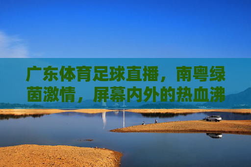 广东体育足球直播，南粤绿茵激情，屏幕内外的热血沸腾，南粤绿茵激情直播，屏幕内外热血沸腾