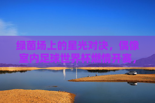 绿茵场上的星光对决,偶像室内足球世界杯燃情开赛,偶像室内足球世界杯,星光对决燃情开赛