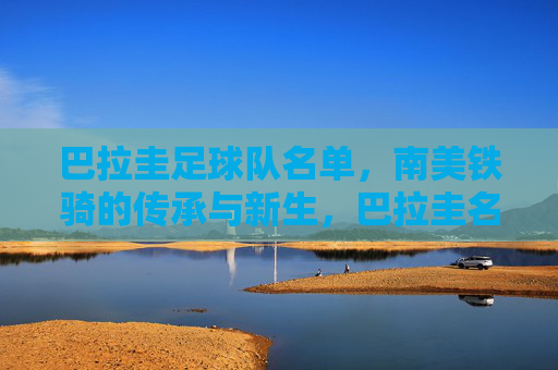 巴拉圭足球队名单,南美铁骑的传承与新生,巴拉圭名单,南美铁骑的传承与新生