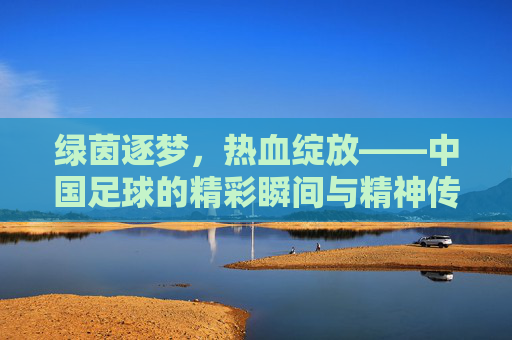 绿茵逐梦,热血绽放——中国足球的精彩瞬间与精神传承,绿茵逐梦,热血绽放,中国足球的精彩瞬间与精神传承