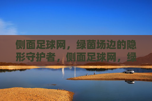 侧面足球网,绿茵场边的隐形守护者,侧面足球网,绿茵场边的隐形守护者