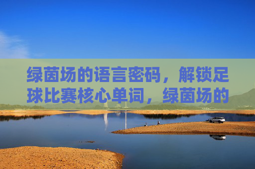 绿茵场的语言密码,解锁足球比赛核心单词,绿茵场的语言密码,解密足球核心单词