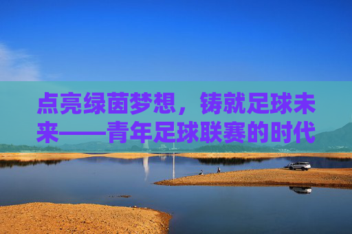 点亮绿茵梦想，铸就足球未来——青年足球联赛的时代意义，青年足球联赛，点亮绿茵梦想，铸就足球未来