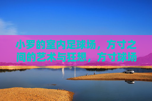 小罗的室内足球场,方寸之间的艺术与狂想,方寸球场,小罗的艺术与狂想