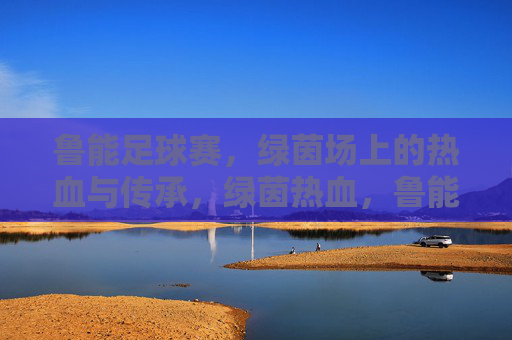 鲁能足球赛，绿茵场上的热血与传承，绿茵热血，鲁能传承