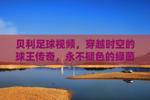 贝利足球视频，穿越时空的球王传奇，永不褪色的绿茵史诗，穿越时空的球王绿茵史诗