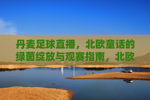 丹麦足球直播,北欧童话的绿茵绽放与观赛指南,北欧童话绿茵绽放,丹麦足球直播观赛指南