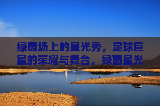 绿茵场上的星光秀,足球巨星的荣耀与舞台,绿茵星光秀,足球巨星的荣耀舞台