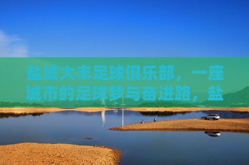 盐城大丰足球俱乐部,一座城市的足球梦与奋进路,盐城大丰,一座城市的足球梦与奋进路